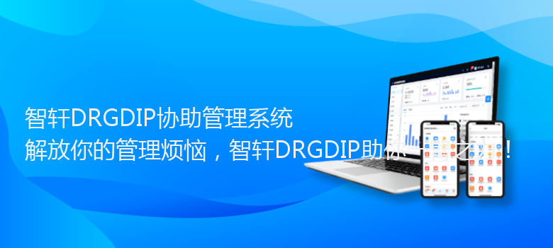 DRGDIP协助管理系统